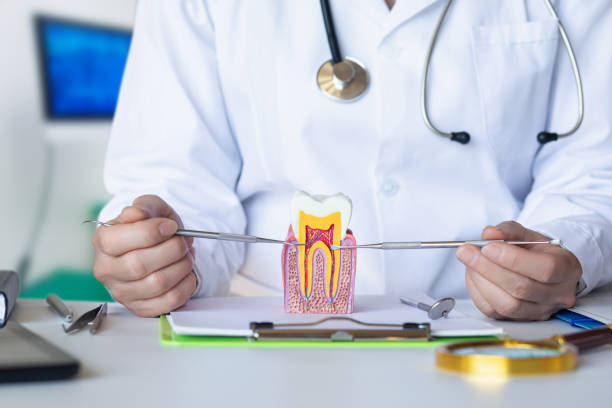 Best Weekend Emergency Dental Services in Colfax, IL